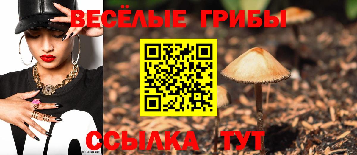 Галлюциногенные грибы Magic Shrooms  как найти закладки  Курчатов  Псилоцибиновые грибы Psilocybe  Вход с VPN 
